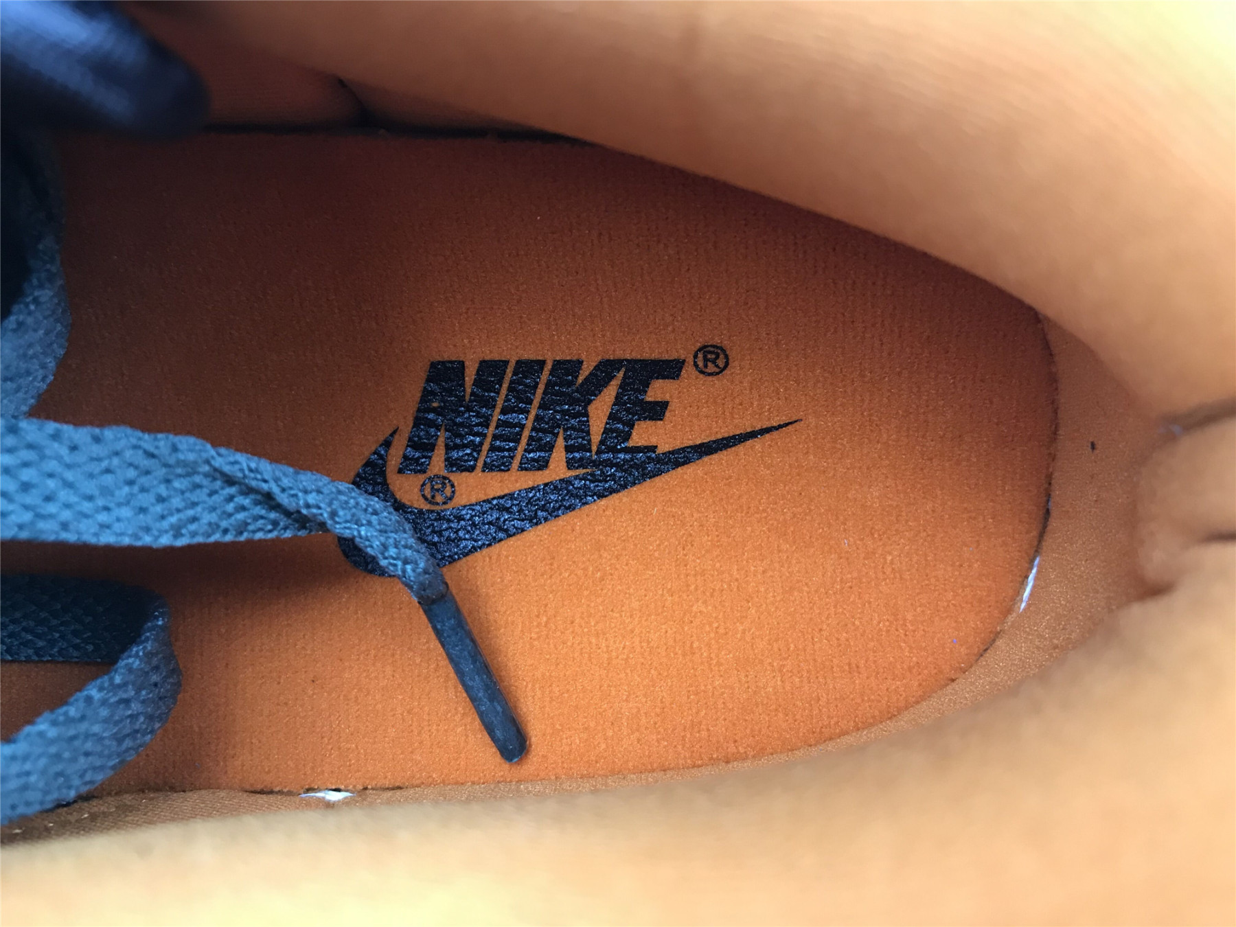 UA NIKE DUNK LOW SP RETRO 2020 