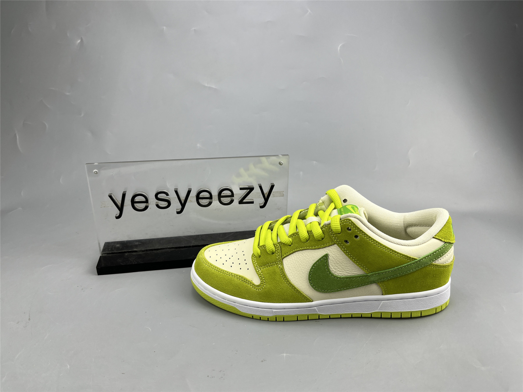 UA NIKE DUNK LOW PRO SB 