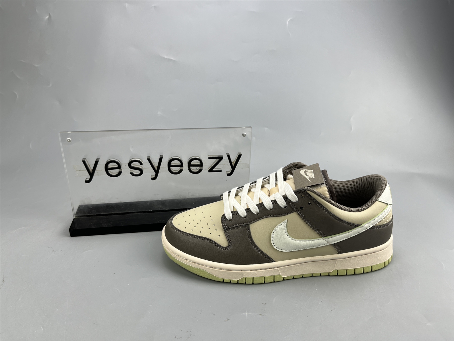 UA NIKE DUNK LOW 