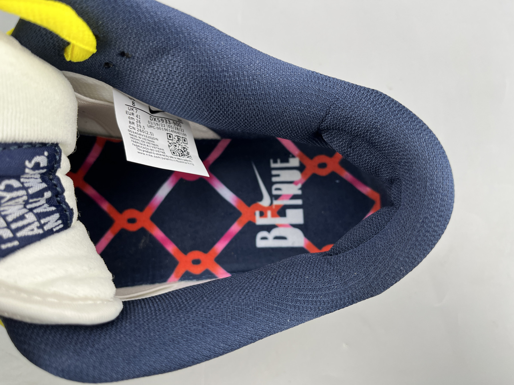 UA NIKE XAVIER SCHIPANI X DUNK LOW SB 