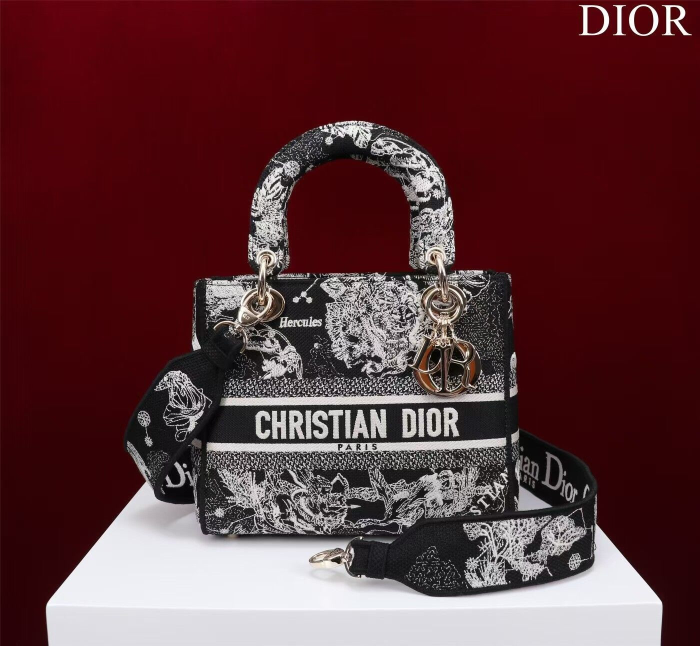 MEDIUM D10r LADY D-LITE BAG  24 x 20 x 11 cm