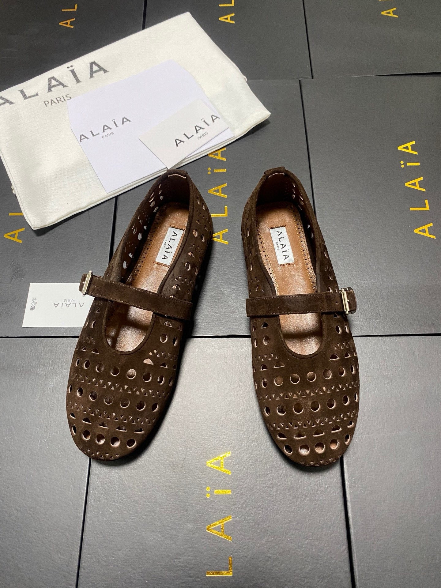 UA A1a1a Vienne BALLET FLATS