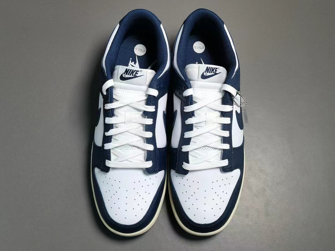 UA NIKE WMNS DUNK LOW 
