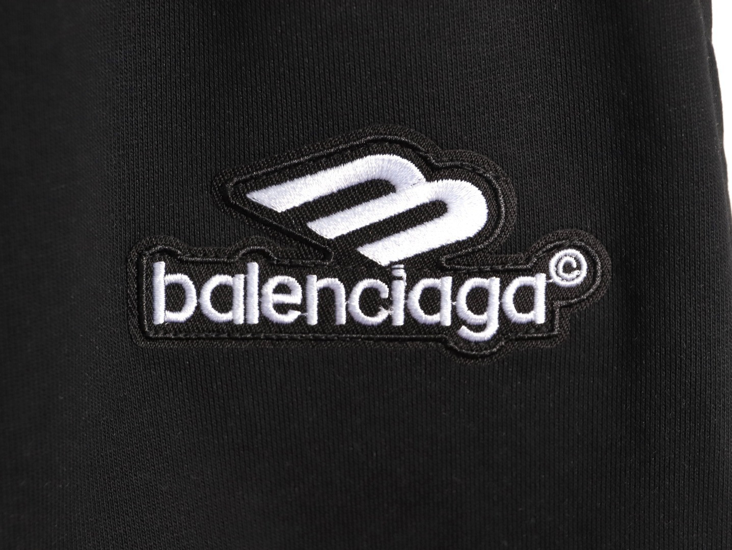Ba1en*iaga 25FW Pants