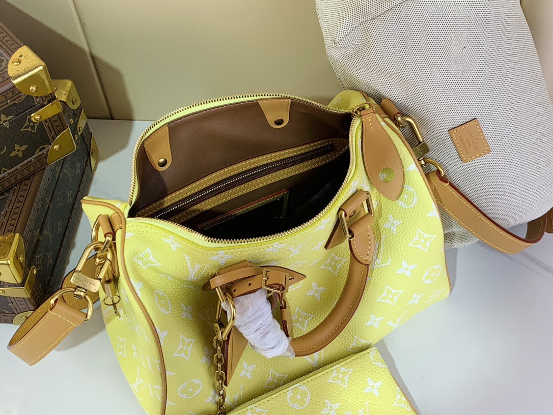LV SPEEDY BANDOULIÈRE25 M13902