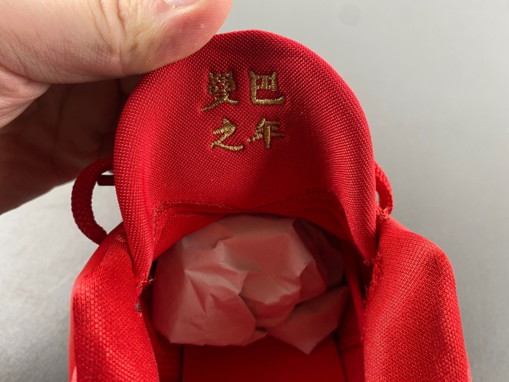 UA Nike Kobe 5 Protro Year of the Mamba University Red