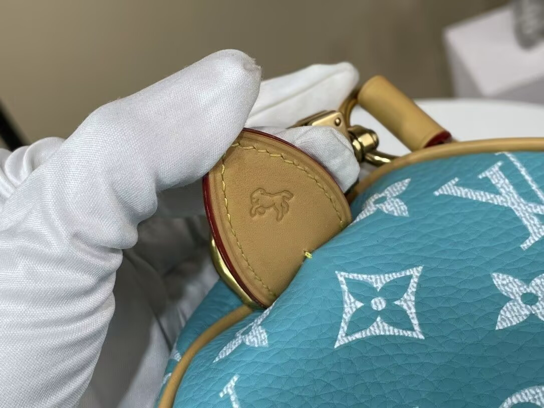 LV SPEEDY BANDOULIÈRE25 M11561