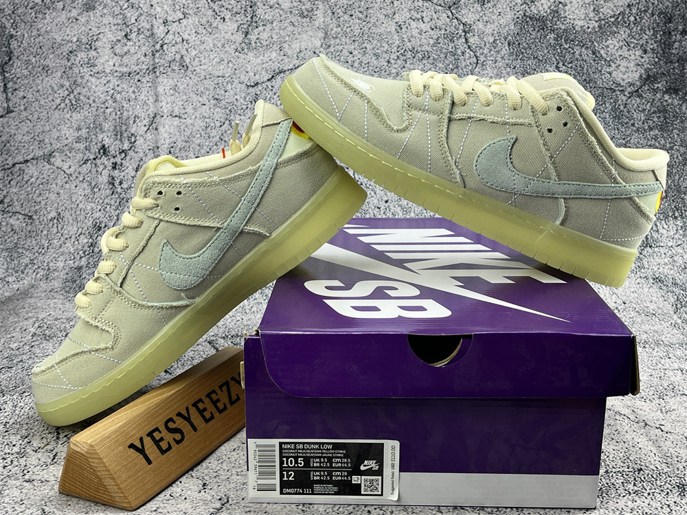 UA NIKE SB DUNK LOW MUMMY