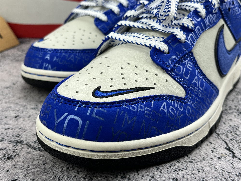 UA NIKE DUNK LOW 