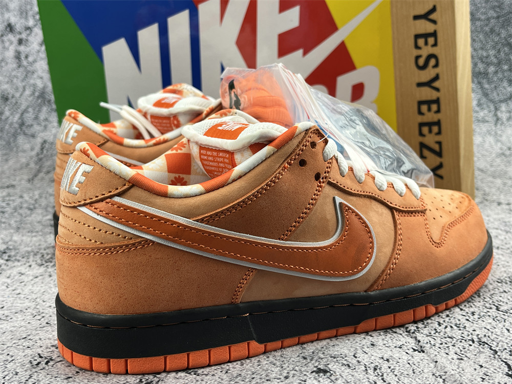 UA NIKE CONCEPTS X DUNK LOW SB 