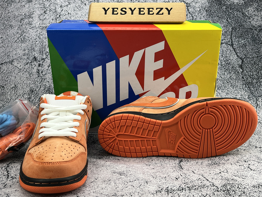 UA NIKE CONCEPTS X DUNK LOW SB 
