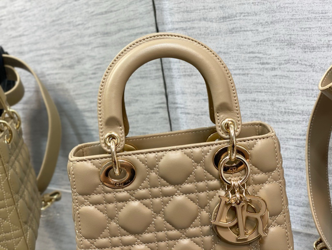 Medium Lady D10r Bag 24 x 20 x 12 cm