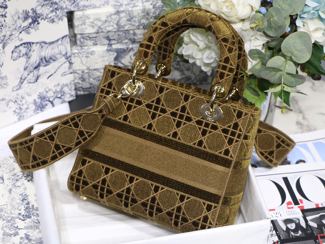 D10r MEDIUM LADY D-LITE BAG