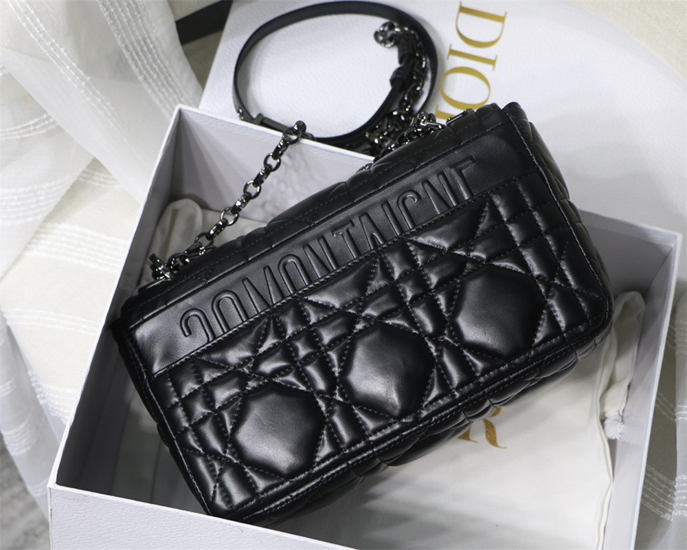 MEDIUM D10r CARO BAG S*pple Cannage Calfskin 25.5 x 15.5 x 8 cm