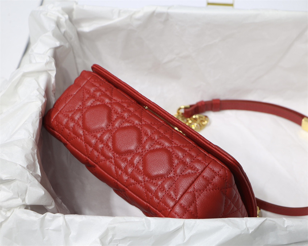 SMALL D10r CARO BAG Red S*pple Cannage Calfskin 20 x 12 x 7 cm
