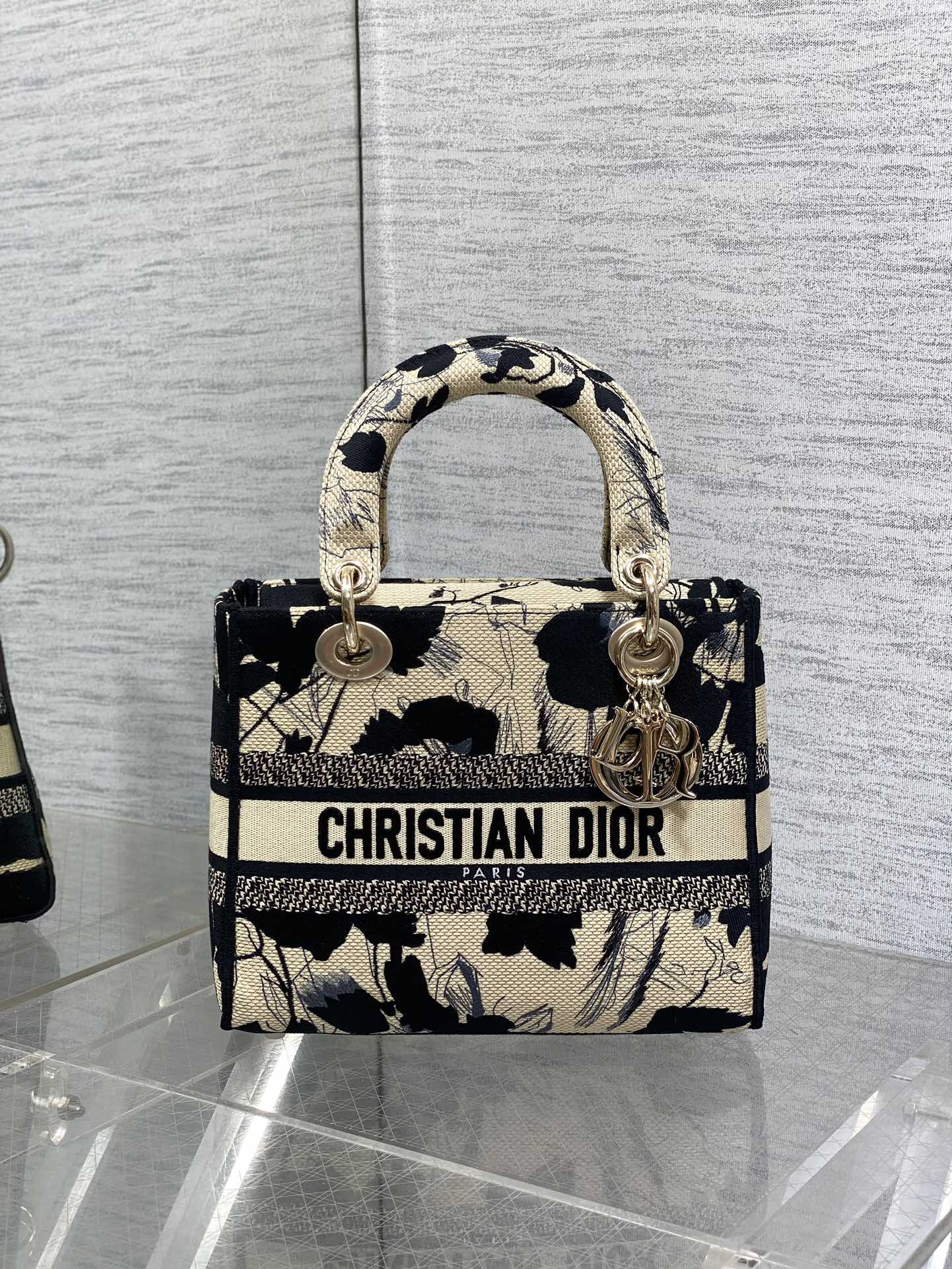 D10r Lady Bag 24x11x20cm