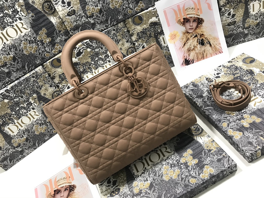 D10r Lady Bag 32 x 25 x 11cm