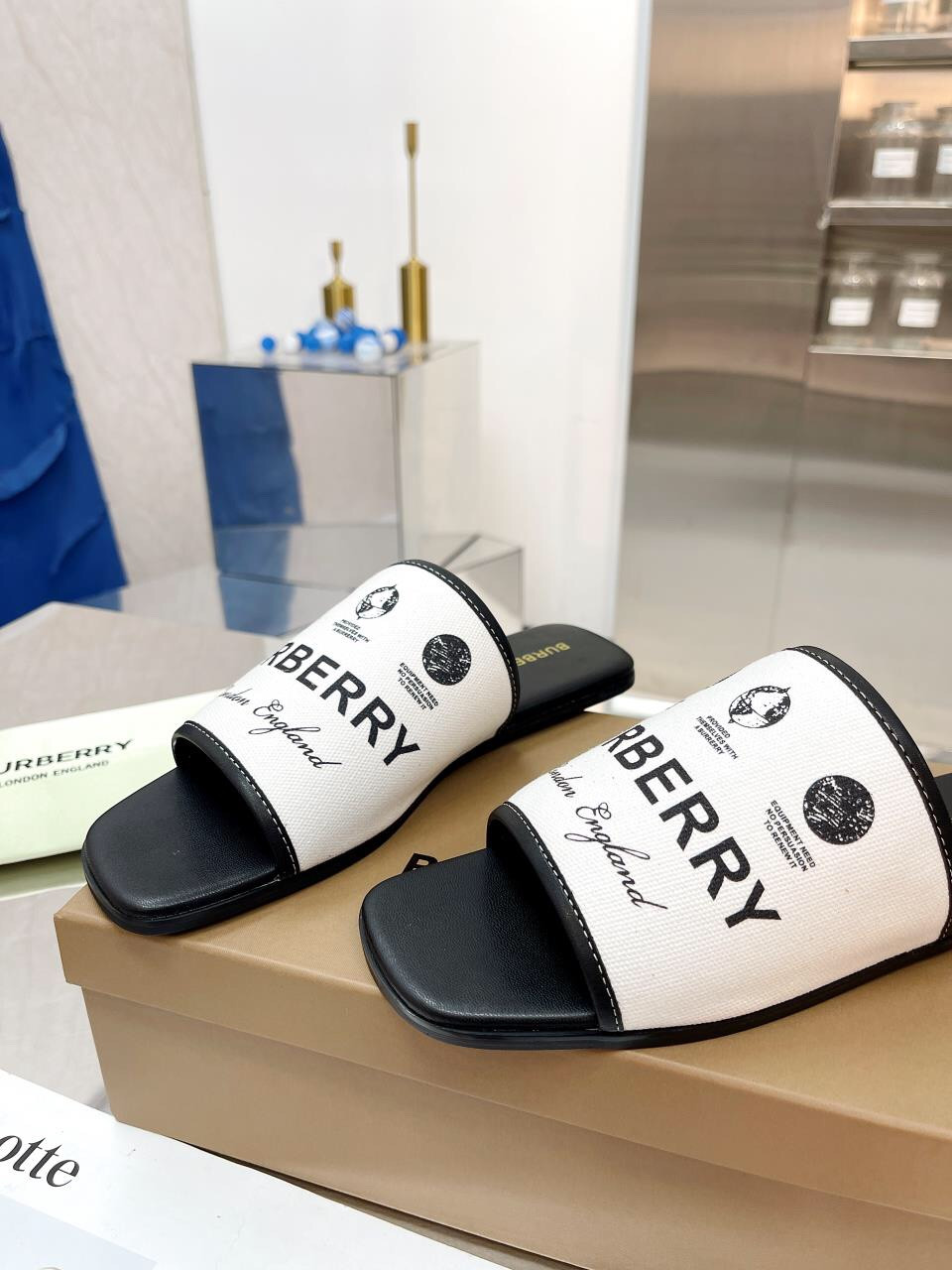 UA Bv*b*rry Slides