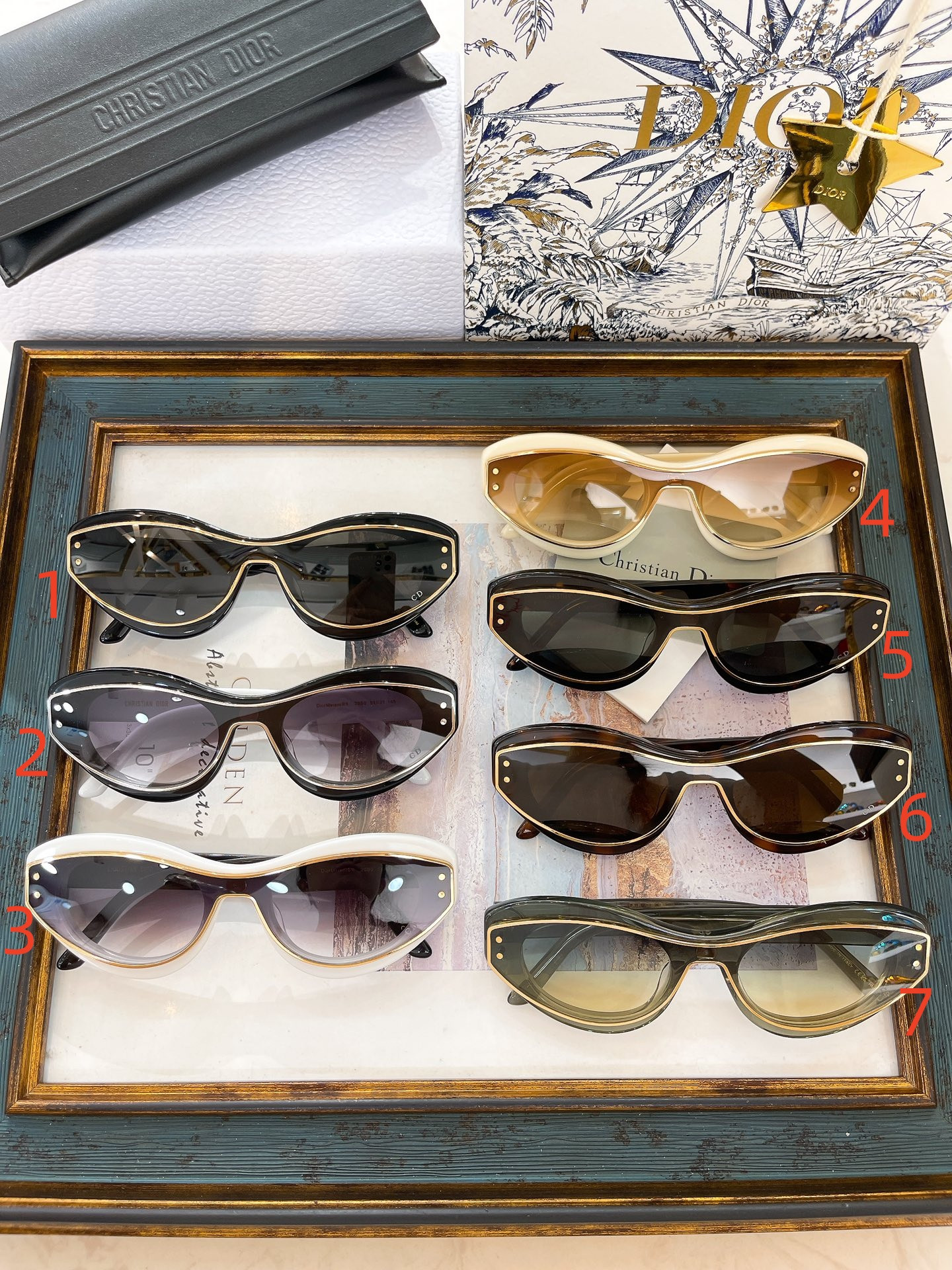 D10r Glasses MeteorB1I 51-21-145