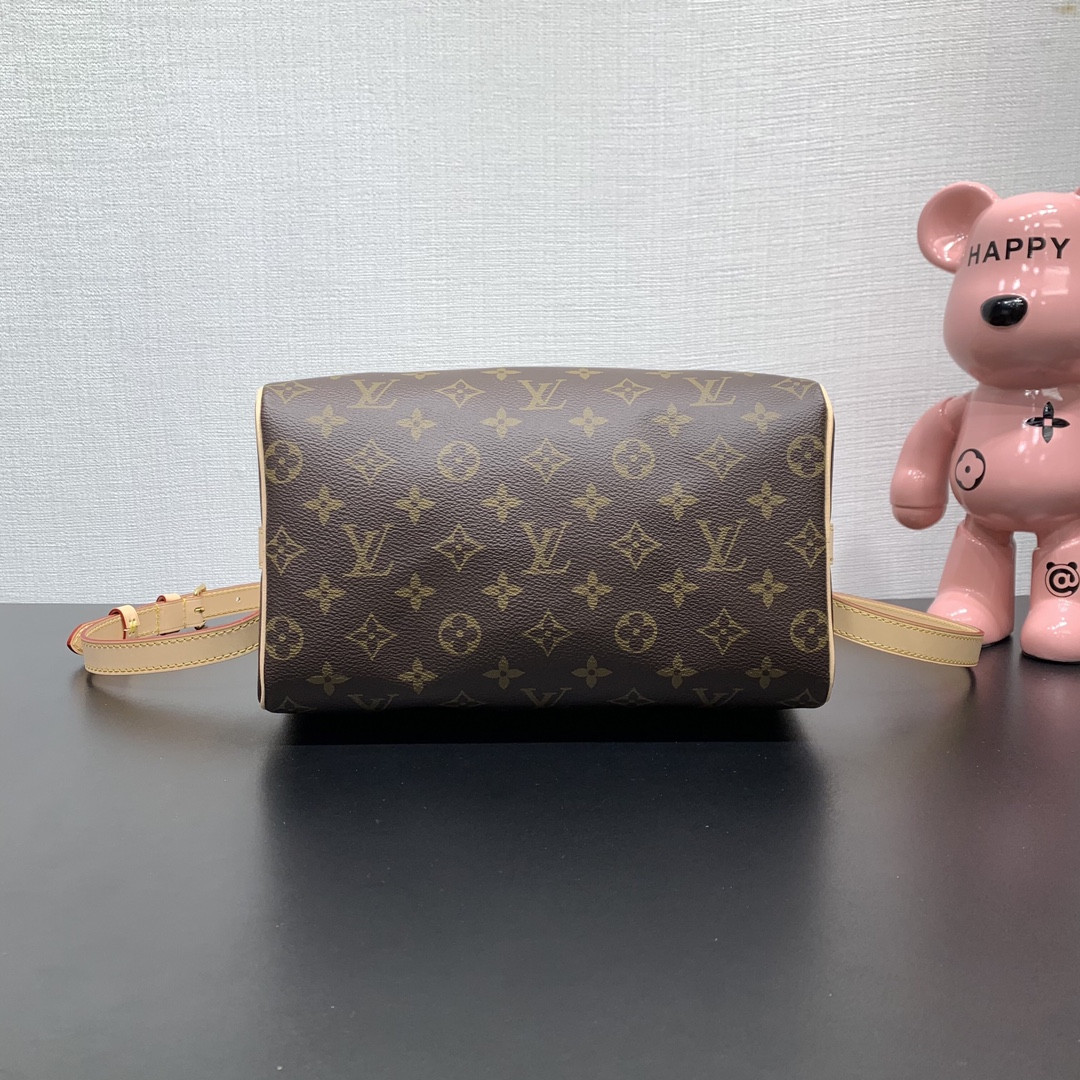 LV Speedy Bandoulière 25 M46977 25×19×15cm